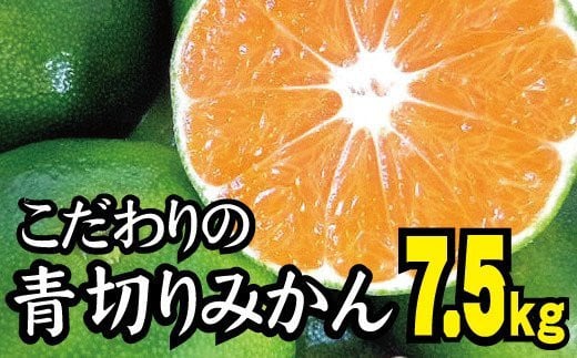 【2025年秋頃発送予約分】【農家直送】こだわりの青切りみかん 約7.5kg  有機質肥料100%　 サイズ混合　※2025年9月下旬より順次発送予定（お届け日指定不可）【nuk107C】 1524851 - 和歌山県すさみ町