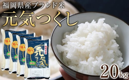 [令和7年産]福岡県産ブランド米「元気つくし」白米20kg [筑前町][米 ブランド米 ブランド 白米 元気つくし 令和7年産 20kg 20キロ 家庭用 お取り寄せ お土産 福岡県産 取り寄せ グルメ 福岡県 筑前町 CE002]
