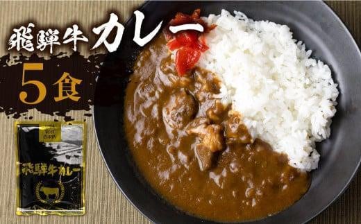 【8月発送】飛騨牛カレー (5袋) ビーフカレー 飛騨牛 カレー レトルトカレー  簡易包装 ふるさと清見  DC005VC08 1195316 - 岐阜県高山市