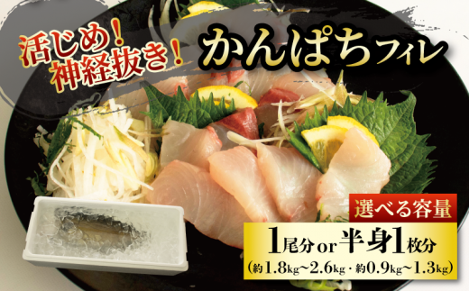 活じめ!神経抜き!かんぱちフィレ半身1枚(約0.9〜1.3kg)または1尾分(約1.8〜2.6kg)| 鮮魚 刺身 お刺身 お刺し身 魚介 海の幸 冷蔵 かんぱち カンパチ 勘八 愛媛県 松山市