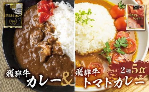 【9月発送】飛騨牛カレー (3袋) 飛騨牛トマトカレー (2袋)  計5食   簡易包装 ビーフカレー 飛騨牛 トマト カレー レトルトカレー  ふるさと清見 DC003VC09 1195177 - 岐阜県高山市