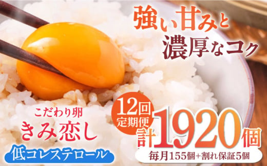 【12回定期便】きみ恋し 160個（155個+割れ保証5個）×12ヶ月 総計1920個 広川町/伊藤養鶏場 [AFAJ018] 1528662 - 福岡県広川町