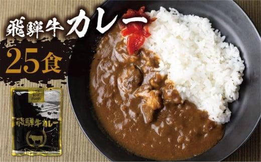 岐阜県高山市のふるさと納税 【3月発送】飛騨牛カレー (25袋) ビーフカレー 飛騨牛カレー 簡易包装 レトルトカレー ふるさと清見 DC008VC03