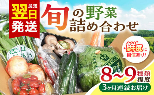 諫早産 野菜 詰め合わせ 8〜9品目程度 定期便 季節 旬 やさい 春野菜 夏野菜