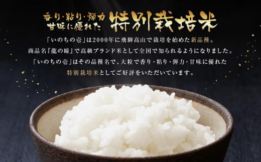 定期便】令和5年産 飛騨高山産いのちの壱（白米）15kg×12ケ月 | 粒が大きい ブランド米 お米 ご飯 おいしい 人気 いのちの壱 飛騨高山  クオリティ飛騨高山 AU119 - 岐阜県高山市｜ふるさとチョイス - ふるさと納税サイト