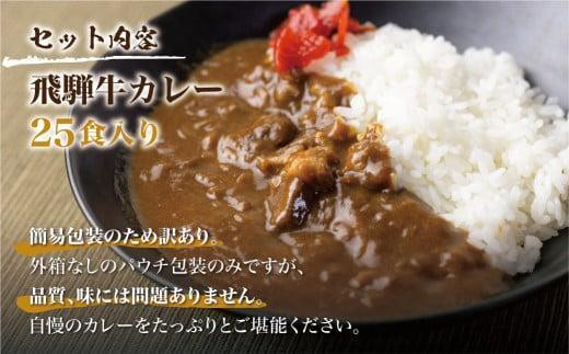 岐阜県高山市のふるさと納税 【3月発送】飛騨牛カレー (25袋) ビーフカレー 飛騨牛カレー 簡易包装 レトルトカレー ふるさと清見 DC008VC03