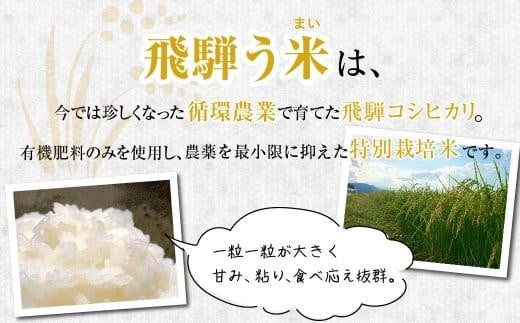 数量限定/先行受付】令和6年産 飛騨う米 7分づき米 5kg | 有機肥料100％ 米 白米 お米 受賞米 米コン3年連続特別優秀賞受賞米 飛騨高山  株式会社拳 GW001 - 岐阜県高山市｜ふるさとチョイス - ふるさと納税サイト