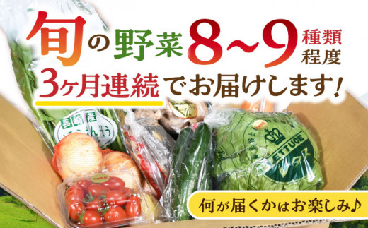 諫早産 野菜 詰め合わせ 8〜9品目程度 定期便 季節 旬 やさい 春野菜 夏野菜