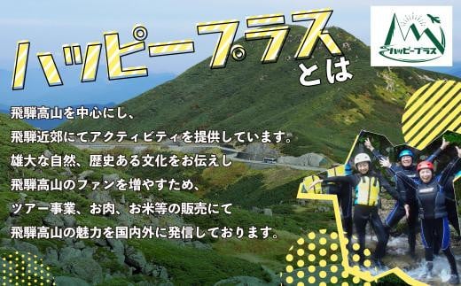 福岡 飛騨 コレクション 高山 パック