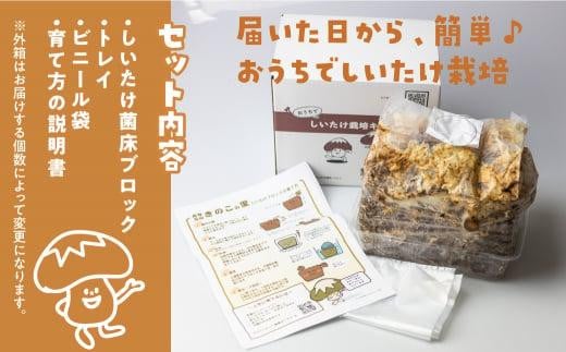 菌床椎茸栽培キット 4個セット | しいたけ シイタケ 椎茸 栽培キット 栽培 菌床 しいたけ菌 椎茸菌 夏休み 自由研究 飛騨高山きのこの里  GK002 - 岐阜県高山市｜ふるさとチョイス - ふるさと納税サイト