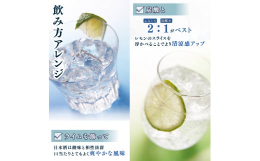 新潟県新発田市のふるさと納税 菊水ふなぐち 200ml×30本【 新潟 地酒 菊水酒造 新発田市 ふなぐち 日本酒 缶 200ml 30本 缶 アウトドア 本醸造 生原酒 父の日 ギフト E94 】