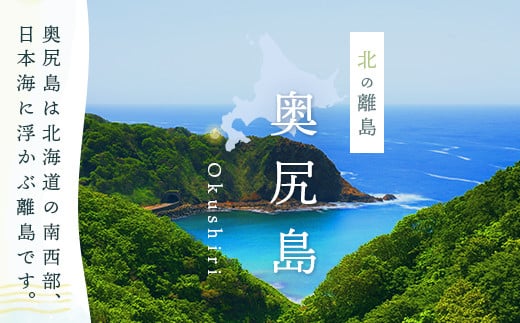 北海道奥尻町のふるさと納税 奥尻名産 ほっけの開き(3尾) ほっけ 開き ふっくら ご飯のおとも 居酒屋 定番メニュー  竜田揚げ  ひつまぶし おせち 年越し 年賀 送料無料 OKUH020