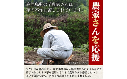 鹿児島県日置市のふるさと納税 No.1123 ＜訳あり・規格外＞鹿児島県産熟成紅はるかの冷凍焼きいも(計4kg・800g×5袋) 国産 九州産 鹿児島県産 さつまいも サツマイモ さつま芋 紅はるか 訳アリ 訳あり 規格外 紅春香 芋 焼き芋 やきいも 野菜 スイーツ 冷凍【末永商店】【859】