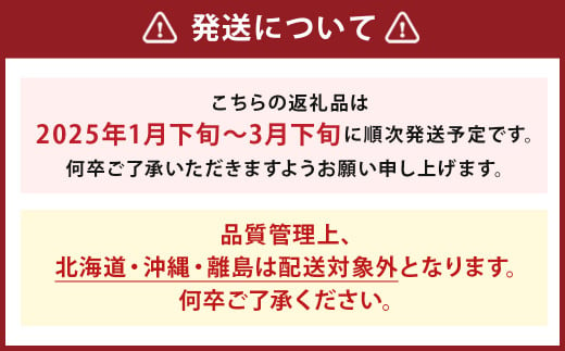 いちご「あまおう」 約270g×2パック 合計 約540g