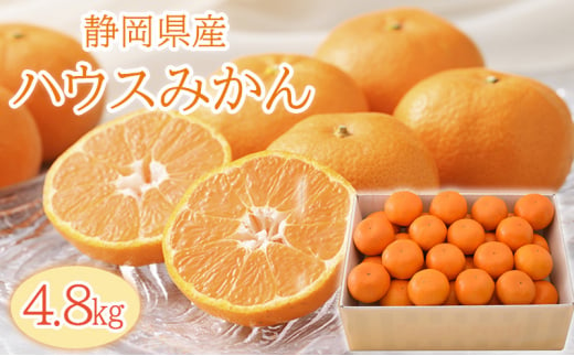 【2025年6月下旬より順次発送】静岡県浜松市産ハウスみかん4.8kg [№5360-0045]