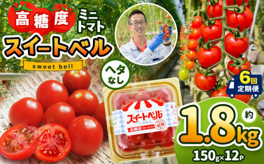 【定期便6回】 高糖度 ミニトマト スイートベル （ ヘタなし ） 150g × 12P | 野菜 トマト ミニトマト プチトマト トマト 高糖度 トマト とまと 小分け 君津とまとガーデン 定期便 定期 6回 千葉 君津 きみつ 1419084 - 千葉県君津市