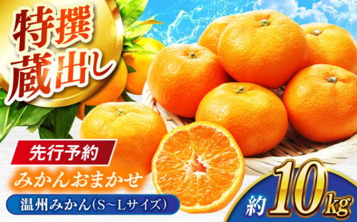 【先行予約】特撰蔵出しみかんおまかせ 亀山市/服部果樹園 みかん 蔵出し 送料無料 [AMAR002] 463734 - 三重県亀山市