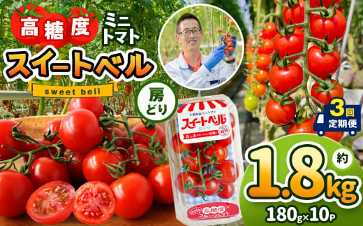 【定期便3回】 高糖度 ミニトマト スイートベル （ 房どり ） 180g × 10P | 野菜 トマト ミニトマト プチトマト トマト 高糖度 トマト とまと 小分け 君津とまとガーデン 定期便 定期 3回 千葉 君津 きみつ 1419080 - 千葉県君津市