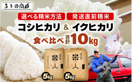 【令和6年産・新米】 コシヒカリ ＆ イクヒカリ 食べくらべ  【無洗米】 計10kg （5kg × 2袋）セット[m25-b002_02] 1249852 - 福井県美浜町