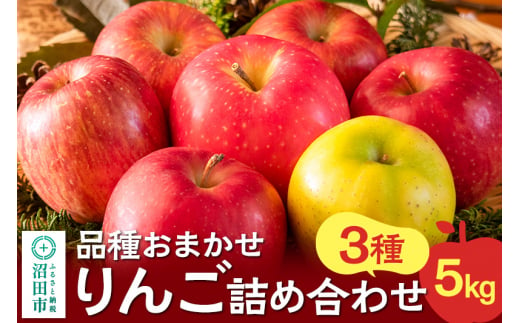 《2024年11月上旬以降発送》品種おまかせ 3種 りんご詰め合わせ 5kg 真田りんご園 1390589 - 群馬県沼田市