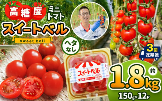 【定期便3回】高糖度 ミニトマト スイートベル （ ヘタなし ） 150g × 12P | 野菜 トマト ミニトマト プチトマト トマト 高糖度 トマト とまと 小分け 君津とまとガーデン 定期便 定期 3回 千葉 君津 きみつ 1419083 - 千葉県君津市