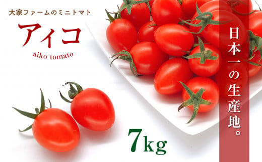 『大家ファーム』のミニトマト アイコ 3.5kg × 2箱 | 野菜 やさい ヤサイ トマト とまと ミニトマト 7kg 大家ファーム 熊本県 玉名市 1493011 - 熊本県玉名市