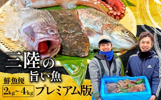 「下処理あり」三陸の旨い魚 プレミアム版 2kg～4kg 1298380 - 岩手県大船渡市