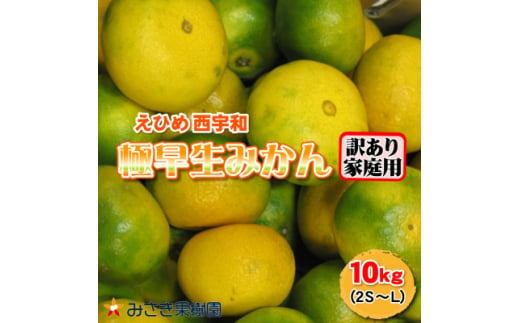 ＜訳あり君＞極早生みかん 10kg 愛媛県産＜C21-30＞【1522432】 1412447 - 愛媛県八幡浜市