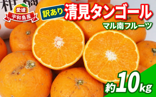 訳あり 清見タンゴール 10kg マル南フルーツ 果物 フルーツ 柑橘 みかん 数量限定 産地直送 国産 愛媛 宇和島 B010-106024 1275353 - 愛媛県宇和島市