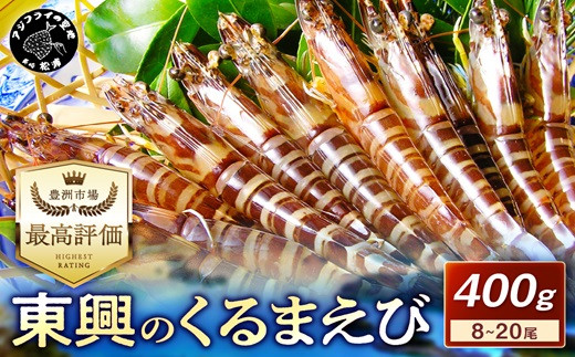 【先行予約】【宅配BOX不可】東興のくるまえび400g入【11月下旬～12月発送】( くるまえび 東興のくるまえび 車海老 海老 エビ )【B6-040-12M】