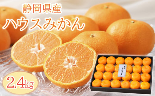 【2025年6月下旬より順次発送】静岡県浜松市産ハウスみかん2.4kg [№5360-0044]