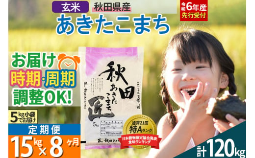 【玄米】＜令和6年産 予約＞ 《定期便8ヶ月》秋田県産 あきたこまち 15kg (5kg×3袋)×8回 15キロ お米【選べるお届け時期】【お届け周期調整 隔月お届けも可】