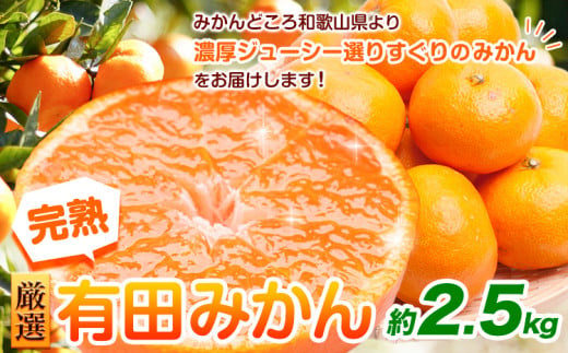 [先行予約]厳選 完熟有田みかん2.5kg+75g(傷み補償分)[光センサー選果] 池田鹿蔵農園@日高町(池田農園株式会社)[11月中旬-1月末頃出荷]和歌山県 日高町[配送不可地域あり]