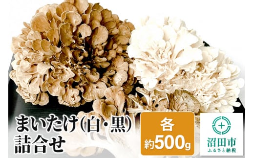 まいたけ（白・黒）詰め合わせ 各約500g 1226994 - 群馬県沼田市