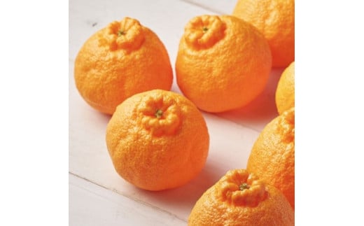 佐賀産 デコポン 約2.5kg (8-11玉) (伊万里市) 柑橘類 147-B804