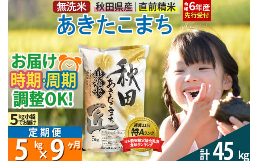 【無洗米】＜令和6年産 予約＞《定期便9ヶ月》秋田県産 あきたこまち 5kg (5kg×1袋) ×9回 5キロ お米【選べるお届け時期】【お届け周期調整 隔月お届けも可】