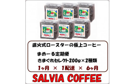 ＜毎月定期便＞まめーる店主のきまぐれセレクト200g×2袋＜粉＞全6回【4053868】 1412481 - 千葉県館山市