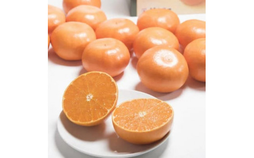 佐賀産 柑橘 「はまさき」 約3kg 箱 (7-12玉) 147-B805
