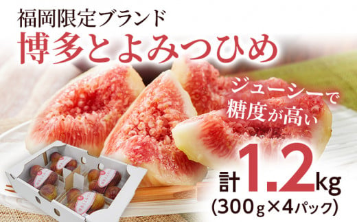 【先行予約】博多とよみつひめ 300g×4パック いちじく イチジク 無花果 計1.2kg 福岡限定 フルーツ 果物 とよみつひめ 九州 福岡 ジューシー 糖度が高い スムージー フレッシュ 福岡県産【2024年8月以降順次発送予定】 1412236 - 福岡県田川市