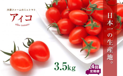 【定期4回】『大家ファーム』のミニトマト アイコ 3.5kg×4回 ｜ 野菜 やさい とまと トマト ミニトマト アイコ 熊本県 玉名市