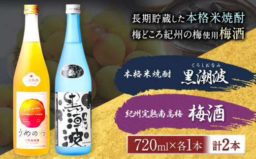 本格米焼酎 黒潮波 (くろしおなみ) と 紀州完熟南高梅 梅酒 720ml×各1本 2本セット 厳選館[90日以内に出荷予定(土日祝除く)] 和歌山県 日高町 酒 梅酒 焼酎 米焼酎 果実酒