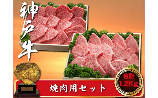 神戸牛 焼肉用セット　合計1200g　SOYS5 1411795 - 兵庫県新温泉町