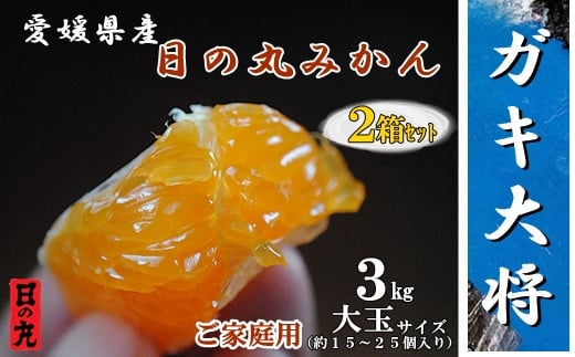 自然の恵み!「ガキ大将」3kg(大玉サイズ)日の丸みかん/2箱セット/ご家庭用＜D79-12＞【1452035】 1076866 - 愛媛県八幡浜市