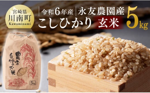 令和6年産】永友農園産「こしひかり（玄米）」5kg 【 米 お米 玄米 国産 宮崎県産 コシヒカリ 】｜ふるラボ