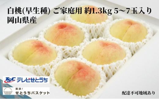 桃 2024年 先行予約 岡山 白桃（早生種）ご家庭用 約1.3kg 5～7玉入り もも モモ 岡山県産 国産 フルーツ 果物 直送！せとうちバスケット 778352 - 岡山県岡山市