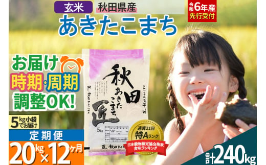 【玄米】＜令和6年産 予約＞ 《定期便12ヶ月》秋田県産 あきたこまち 20kg (5kg×4袋)×12回 20キロ お米【選べるお届け時期】【お届け周期調整 隔月お届けも可】