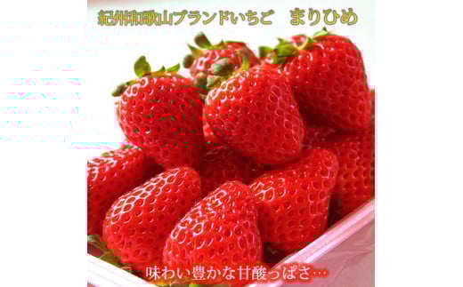 紀州和歌山ブランドいちご「まりひめ」約250g×4P 【2026年3月上旬頃～2026年3月下旬頃に順次発送】【UT39】