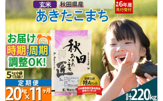 【玄米】＜令和6年産 予約＞ 《定期便11ヶ月》秋田県産 あきたこまち 20kg (5kg×4袋)×11回 20キロ お米【選べるお届け時期】【お届け周期調整 隔月お届けも可】