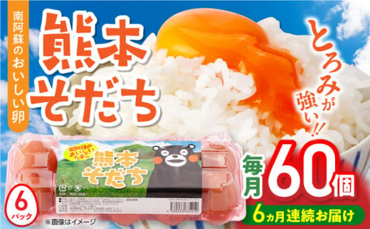 【全6回定期便】熊本そだち 60個入り ( 10個入り × 6パック ) 熊本県産 山都町 たまご 卵 玉子 タマゴ 鶏卵 オムレツ 卵かけご飯 朝食 料理 人気 卵焼き【蘇陽農場】[YBE035] 1166210 - 熊本県山都町