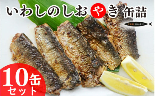 いわしのしおやき缶 10缶セット いわし イワシ 鰯 まいわし マイワシ 缶詰 魚介 国産 安心 贈答 ギフト 贈り物 夕飯 アレンジ おつまみ おかず 惣菜 美味しい 保存食 非常食 ローリングストック 長期保存 常温 青魚 健康 防災 備蓄 千葉県 銚子 千葉産直サービス 1425038 - 千葉県銚子市